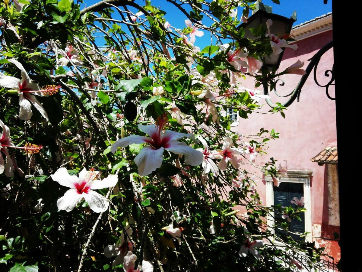 Venetian Well Cozy Apartment Corfu Old Town Exterior foto